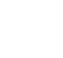 experience icon